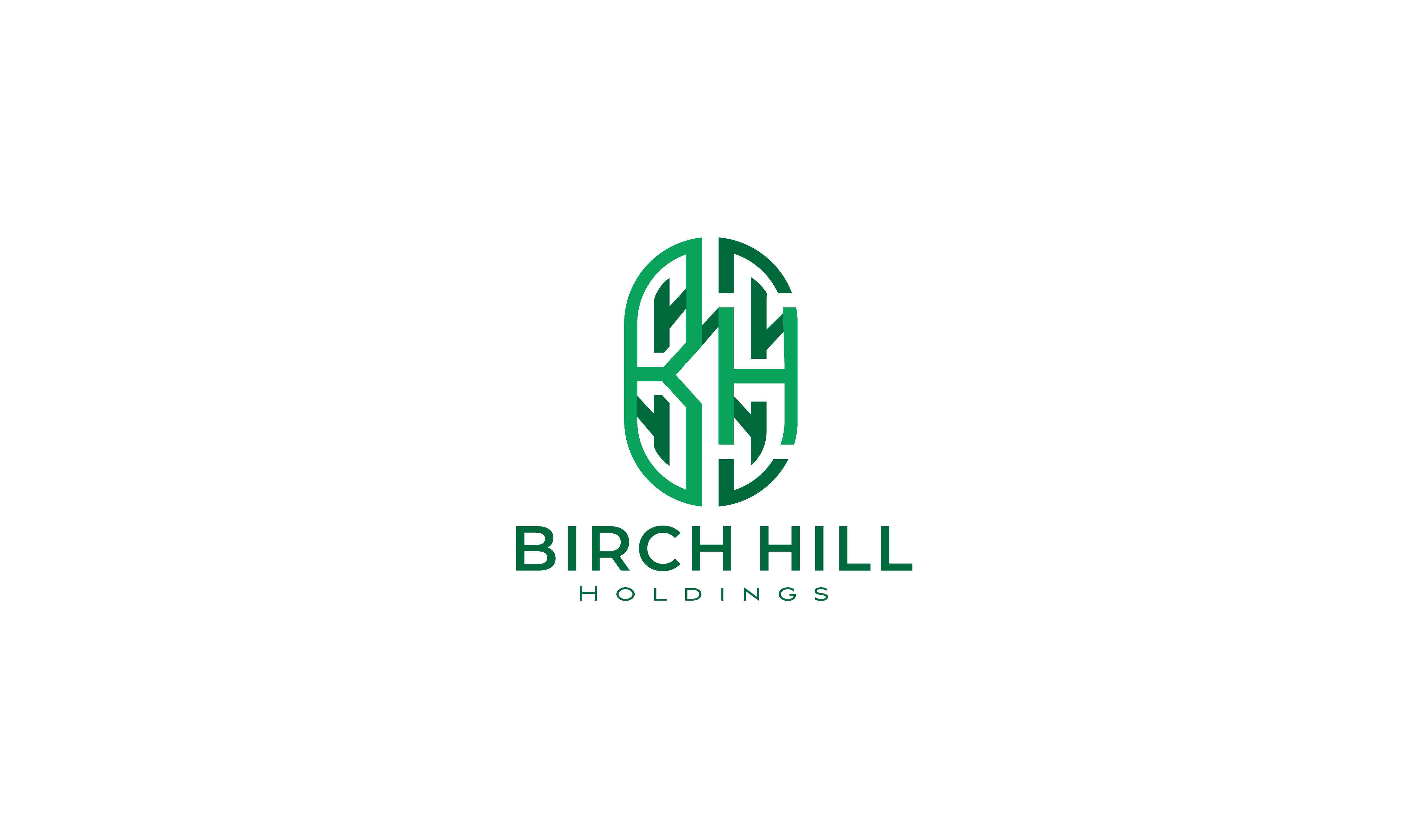 Birch Hill Holdings Logo